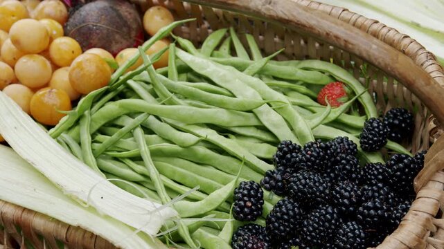 Home garden harvest of fresh green beans and ripe blackberries