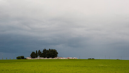 Alta Murgia, panorama del parco con prato , cielo azzurro, nuvole, casolari. Orizzonte delle verdi colline in  Puglia, natura Italia.
