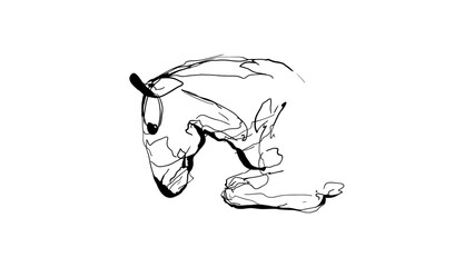 Obraz premium Elegant horse sketch in minimalist style depicting relaxation and tranquility