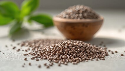 Organic chia seeds, protein-rich meal option, World Health Day