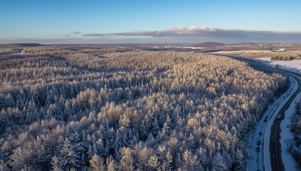 Aerial view of a snowy forest landscape under bright daylight, showcasing seasonal change