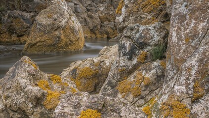 Naklejka premium Porous stone surface with crustose lichen along the river, erosion risk