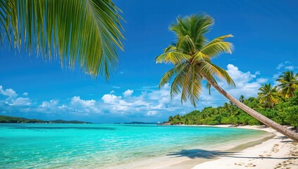 Naklejka premium Palm trees and a tropical beach under a bright sky, ideal for summer travel, relaxation and nature appreciation