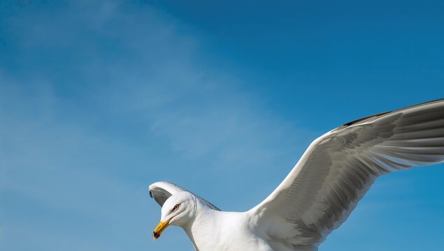 Solitary seagull soaring in a clear blue sky, symbolizing freedom - Powered by Adobe