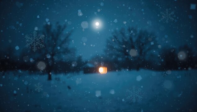 Winter night scene, showcasing seasonal beauty, preservation