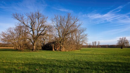 Tranquil rural scene featuring a cabin amid bare trees and a bright blue sky, showcasing seasonal change