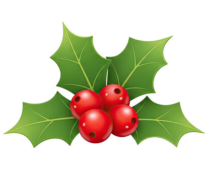 Christmas mistletoe with red berries and green leaves against a png transparent.