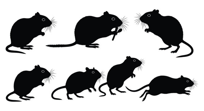 Silhouette of a gerbils in various poses, creating a dynamic composition