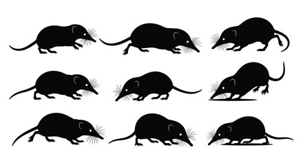 Collection of shrew silhouettes in various poses for design needs and creativity