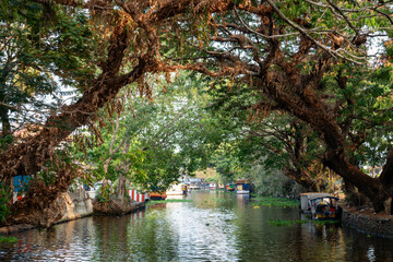 houseboats at the river in Alleppey, Kerala, India
