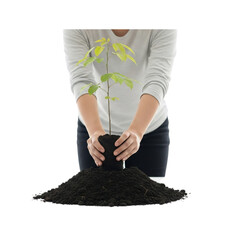 Person Planting Seedling in Soil for Growth and Environmental Care.