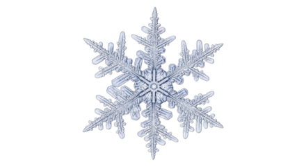 Isolated snowflake macro showing intricate crystal structure, natural winter design, cool tones