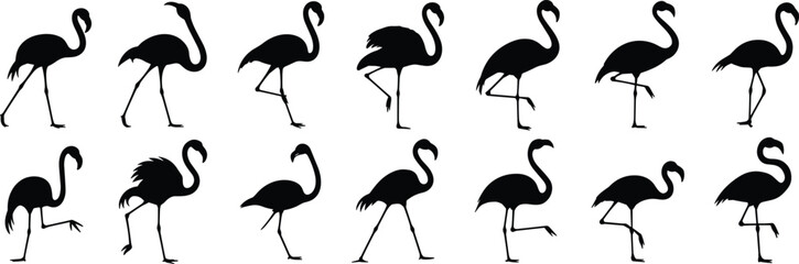 Elegant flamingo silhouettes, black bird poses, tropical wildlife art, graceful avian shapes, minimalist animal design, exotic nature illustration, decorative flamingo collection, vector set**