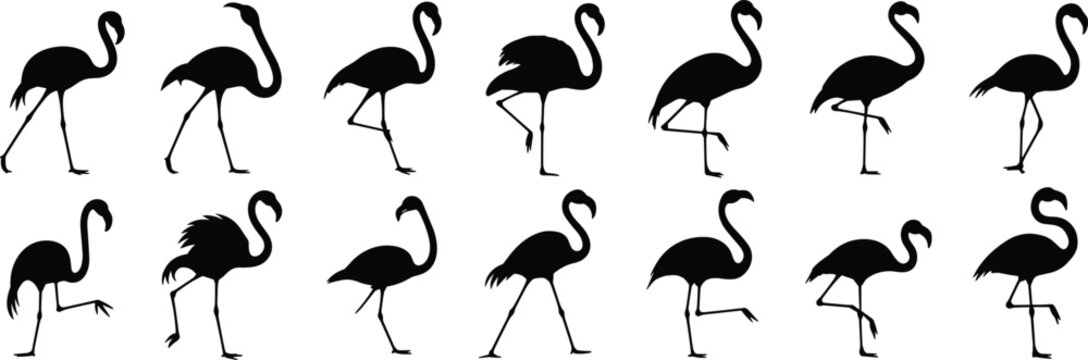 Elegant flamingo silhouettes, black bird poses, tropical wildlife art, graceful avian shapes, minimalist animal design, exotic nature illustration, decorative flamingo collection, vector set** - Powered by Adobe