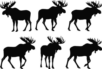 Moose Elk Silhouettes Vector Set, Large Deer Animal Forest Wildlife Collection, Big Antlers Mammal Black Shapes Isolated Nature