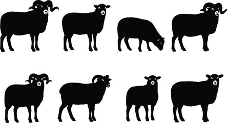 Black Sheep Ram Silhouettes Vector Illustration Set Isolated White Background For Farm Livestock Veterinary Icon Logo Design Elements Cad Drawing Flat Vector Illustration