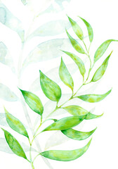 green leaves - authentisches, handgemaltes Aquarell