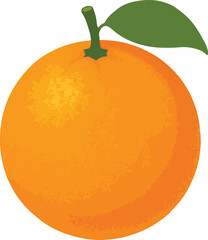 Orange fruit with green leaf and stem citrus food