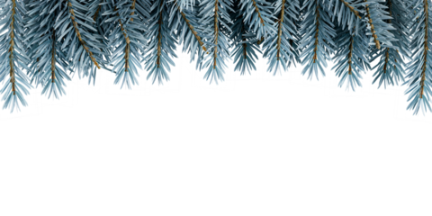 christmas frame background with fir branches on white