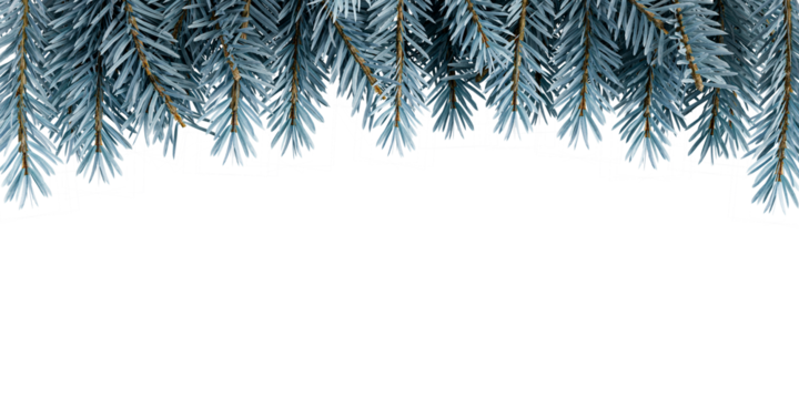 christmas frame background with fir branches on white - Powered by Adobe