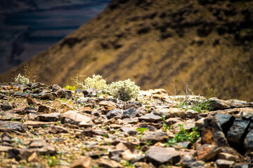 A dramatic view of the Fish River Canyon in Namibia, showcasing steep rocky cliffs, layered geological formations, and a winding riverbed cutting through the arid desert landscape.