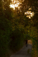 A tranquil scene of a person walking through a serene, green pathway at sunset, framed by lush foliage, evoking peace and solitude.