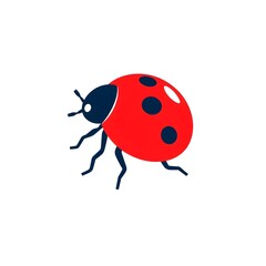 Fototapeta premium ladybug on white background