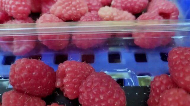 Macro close up of red raspberries in plastic clamshells on tray