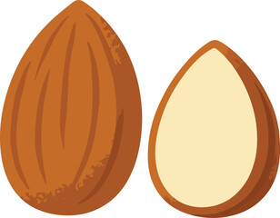 Whole and halved almond illustration food healthy
