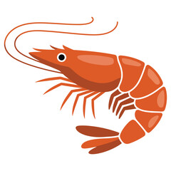 shrimp on white background