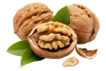 Walnuts healthy food nutrition nuts shelled walnuts walnut kernels fresh walnuts delicious walnuts leaves on transparent background