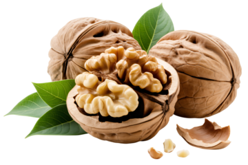 A close up of walnuts walnut kernels shelled walnuts healthy food nuts snack food delicious food tasty food on transparent background