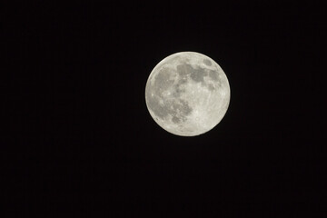Jasna pełnia księżyca na czarnym nocnym niebie, szczegółowy widok tarczy.