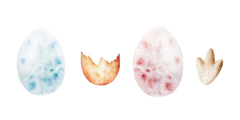 Dinosaur eggs. Watercolor hand drawn prehistoric Brachiosaurus animal. Isolated illustration on transparent background. Perfect for for nursery and baby shower, tropical design projects. For designers