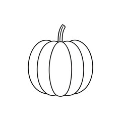 pumpkin isolated on white