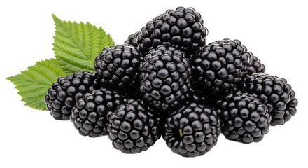 A pile of blackberries with a green leaf beside it on transparent background
