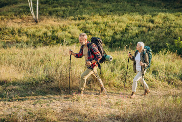 Active retired friends with canes travel exercising Nordic walking in park at sunset