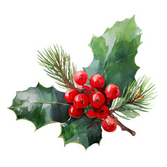 My Watercolor illustration, Christmas holly berries with pine leaves painting isolated on a white background, illustration, simple painting design, vector set, eps format design, Christmas set © Zizak