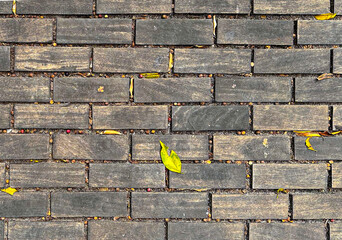 Autumn paving stones made of wood with fallen leaves. Abstract background.Wallpaper