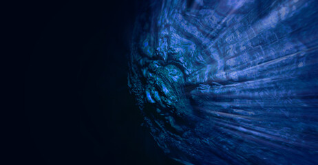 暗い宇宙空間を静寂とともに光速で進むグロテスクな衛星が青黒く映し出されるSFチックなイメージ合成画像