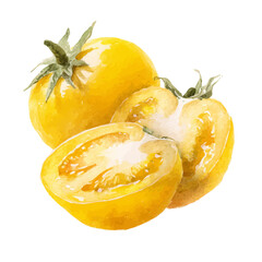 A Watercolor_style_painting_of_halved_tomato_in_yellow_color_  simple illustration with EPS format design