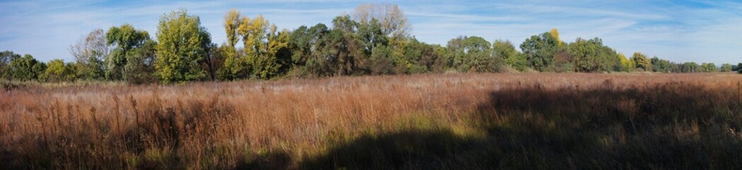 Scenic view of tall grass and trees under a clear blue sky in a tranquil natural setting during early autumn