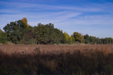 Scenic landscape featuring a grassy field and autumn trees under a clear blue sky in a tranquil setting