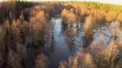 calm lake with reflective trees, still pond reflecting leafless treetops under sunlight, quiet lake landscape showcasing tranquil trees and tender reflections beneath shining sun - Powered by Adobe
