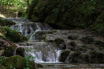 waterfall in the forest