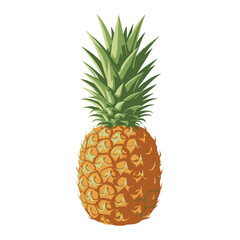 Fototapeta premium A vibrant, detailed illustration of a whole pineapple with spiky green leaves and a textured rind