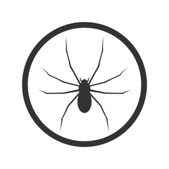Spider rounded icon isolated on transparent background