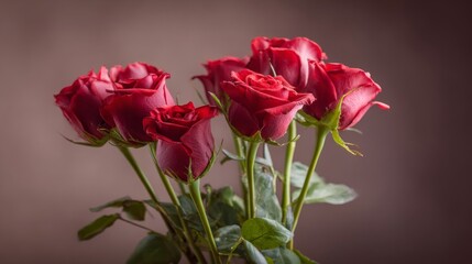 Fototapeta premium For weddings, birthdays, March 8th, mothers, or Valentine's Day, a luxurious bouquet of fresh red roses creates a festive concept on a greeting card with a red matte background, devoid of logos and