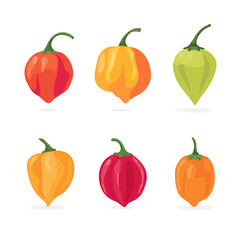Beautiful Simple flat 2D illustration of habanero isolated on a white background, vector icon set, simple design in a flat design, 2D illustration, EPS format design