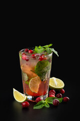 A beautifully crafted cranberry mojito glistens in a clear glass, adorned with fresh mint leaves and bright lime slices. Juicy cranberries lie scattered nearby, enhancing the vibrant drink